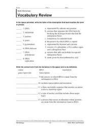 Amino acids are the building blocks of proteins. Dna Translation Lesson Plans Worksheets Lesson Planet