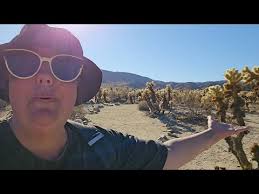 Joshua Tree National Park