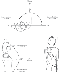 Joint Range Of Motion Kinesiology Scientific Basis Of