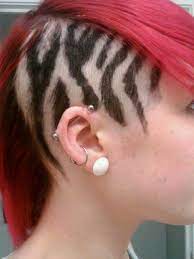 Zebra Would Never Do But Looks Really Cool Shaved Hair Designs Zebra Hair Punk Hair