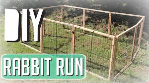 Continue moving around the pen. How I Made My Rabbit Run Youtube