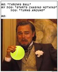 Drinking leo memegreat gatsby : Django Unchained 15 Best Leonardo Dicaprio Drinking Memes Ranked
