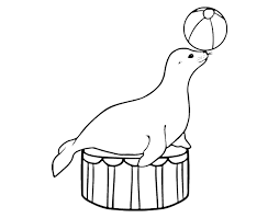 Colorir é uma habilidade muito importante. Foca Para Colorir