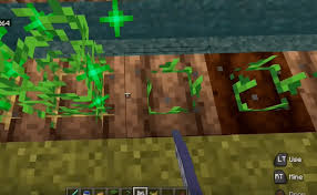The chunk the farm is in needs to be loaded for that time. How To Get Potatoes In Minecraft Minecraft Potato Farm