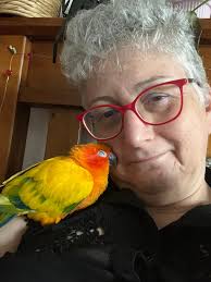 Can anyone place my parrot Squeaky in a different envirment please thank  you x