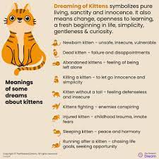 Dreaming Of Kittens 55 Dream Scenarios Explained Thepleasantdream