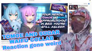 Tomoe and Sugar Waifu Collaboration gone weird... - YouTube