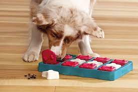 By allowing your dog to engage in these behaviors, you allow them to be physically, emotionally and mentally satisfied. 3 Puzzle Toys To Keep Your Dog Entertained In Quarantine Wirecutter