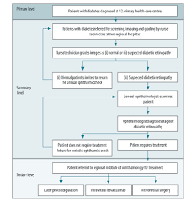 Who Implementation Of A Diabetic Retinopathy Referral