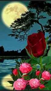 Pin By Elma Mendez On Iloveit Beautiful Nature Wallpaper Beautiful Flowers Wallpapers Beautiful Flowers