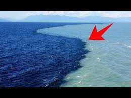 Why Don T The Atlantic And Pacific Oceans Mix Gulf Of Alaska Where Two My Profile Image On The Poles Board In 2020 Two Oceans Meet Gulf Of Alaska Pacific Ocean