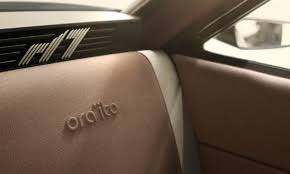 Image result for Chestnut Brown 1982 Renault