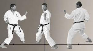 Berikut adalah jenjang tingkatan sabuk taekwondo mulai dari awal hingga akhir: 41 Gerakan Dasar Karate Lengkap Contoh Gambar Penjelasannya