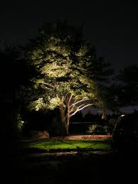 Installing Low Voltage Best Led Outdoor Landscape Lighting Kits