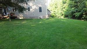 6 tlc lawn care reviews. Tlc Organic Lawn Care
