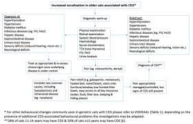 Your cat will most likely need to be given daily medication for the rest of his life. Animals Free Full Text Potential Causes Of Increased Vocalisation In Elderly Cats With Cognitive Dysfunction Syndrome As Assessed By Their Owners Html