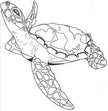 Mermaid rides on a turtle. Sea Turtle Facts Free Coloring Page Download Print Online Coloring Pages For Free Color Nimbus