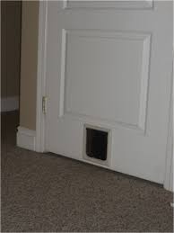 Indoor Cat Door Cat Door Doors Interior Dog Door