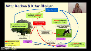 Daur karbon merupakan perputaran karbon dilingkungan dari berbentuk anorganik ke organik dan kembali lagi ke anorganik. Sains Tingkatan 2 Bab 2 Ekosistem 2 2 Kitar Nutrien Dalam Ekosistem Youtube