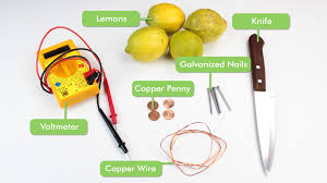 How To Create A Battery From A Lemon 14 Steps With Pictures