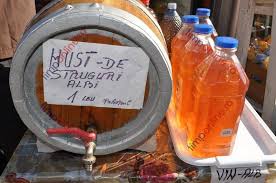 Plantarea vitei de vie se face toamna sau primavara. Viticultura BistriÅ£eana Renaste Din Propria I Cenusa