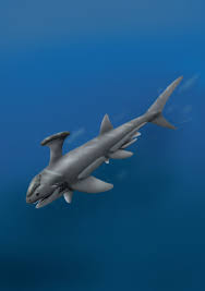 It's still unknown exactly the benefits of these spikes were for. Stethacanthus Facts And Pictures