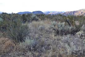 This is a list of the reptiles species recorded in canada.most species are confined to the southernmost parts of the country citation needed.canadian reptiles are composed of squamates and testudines. What An Amazing Ecosystem Picture Of Osoyoos Desert Centre Tripadvisor