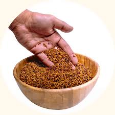 Image result for Calopogonium mucunoides