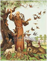 St Francis Of Assisi Patron Saint Of Animals Francis Of Assisi St Francis