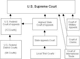 U S Court System