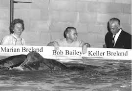 Terrierman's Daily Dose: Who Invented Animal Training?