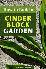 How to make a raised garden with cinder blocks. How To Build A Cinder Block Garden An Off Grid Life