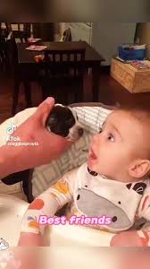 Albert Mateo (@albertmateo07)'s videos with sonido original