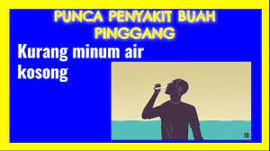 Maka 'abdurrahman bin 'auf mengabarkan kepadanya bahwa. Penyakit Tidak Berjangkit Pendidikan Kesihatan Tahun 4 Youtube