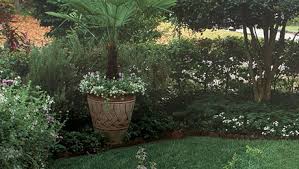 We did not find results for: Plants Enclose An In Town Lot Finegardening