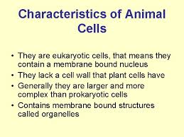 We did not find results for: Introduction To Animal Cells Characteristics Of Animal Cells