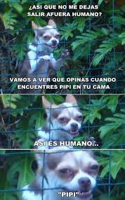#memes #chistes #humor #funny #invequa memes en español, chistes cortos y humor. 64 Ideas For Memes En Espanol Chistosos De Bts