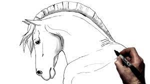 Contour the horse head with curved lines down the neck, near the eye, in front of the jaw, and parallel to the top of the face. How To Draw A Horse Step By Step Side View Youtube