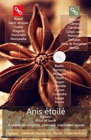 Cuisiner Avec L Anis Etoile La Badiane Epices Et Herbes Cuisine Et Vin Anis Etoile