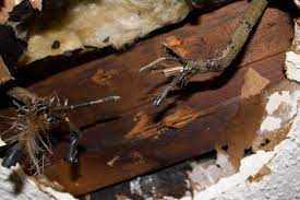 If the outlet is wired correctly, though, touching the. What You Should Know About Old Electrical Wiring In Older Homes