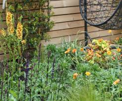 Garden Design Somerset Robert Kennet Garden Designer