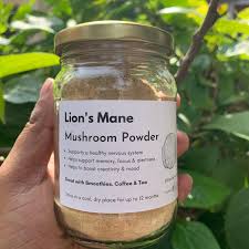 Order Lions Mane Mushroom Powder (100gm) Online From Shroomin'????,Jamshedpur