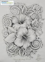 Tatoo vorlage hibiskus kostenlos : Hibiscus Tattoos Designs For Women Image Tattooing Tattoo Designs Free Download Tattoo 40109 Hibi Beautiful Flower Drawings Hibiscus Tattoo Flower Drawing