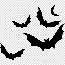 Bat Bird Clipart Silhouette Drawing Illustration Transparent Clip Art When the decal is applied, the background will be replaced by whatever you apply the vinyl to. bat bird clipart silhouette drawing