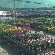 We did not find results for: Jensen S Flower And Garden Home Facebook