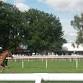Afternoon Racing event image