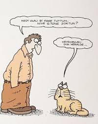 Somay Adli Kullanicinin Mizah Panosundaki Pin Karikatur Komik Ve Komik Seyler