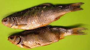 Botulinum ist ein bakterium, das hitzebeständige. Was Ist Botulismus Krankmachende Keime In Fischen Nds Landesamt Fur Verbraucherschutz Und Lebensmittelsicherheit