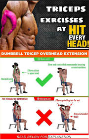 Pin On Biceps Triceps