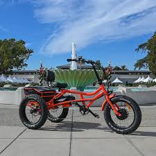 What are the Benefits of E-Trikes?